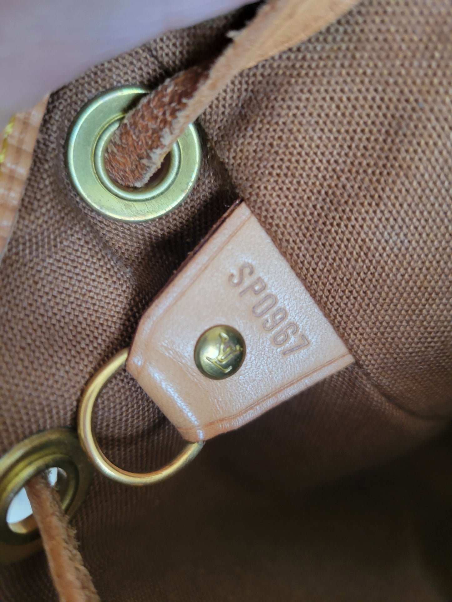 Louis Vuitton Montsouris PM Mini Backpack