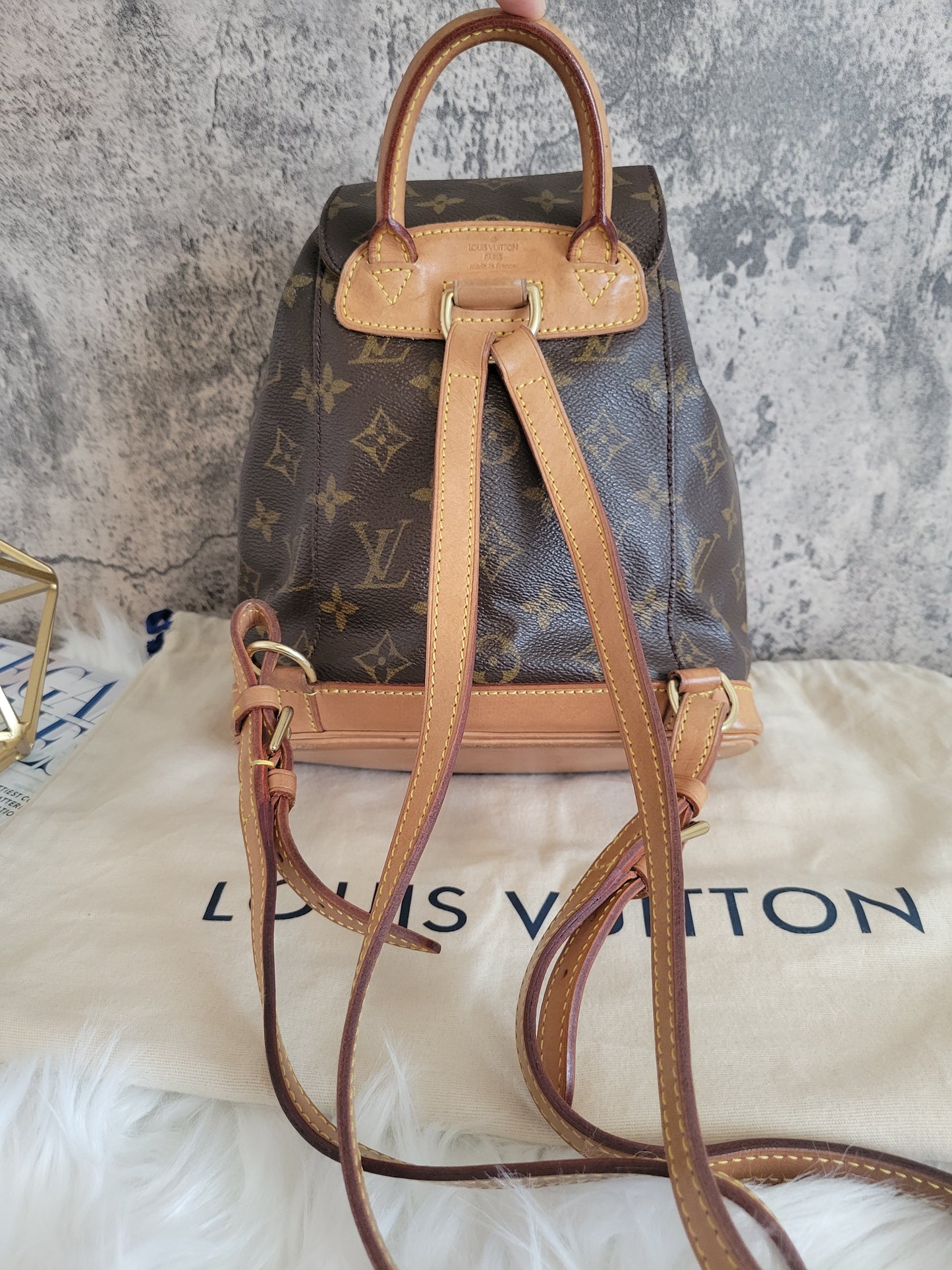 Louis Vuitton Montsouris PM Mini Backpack
