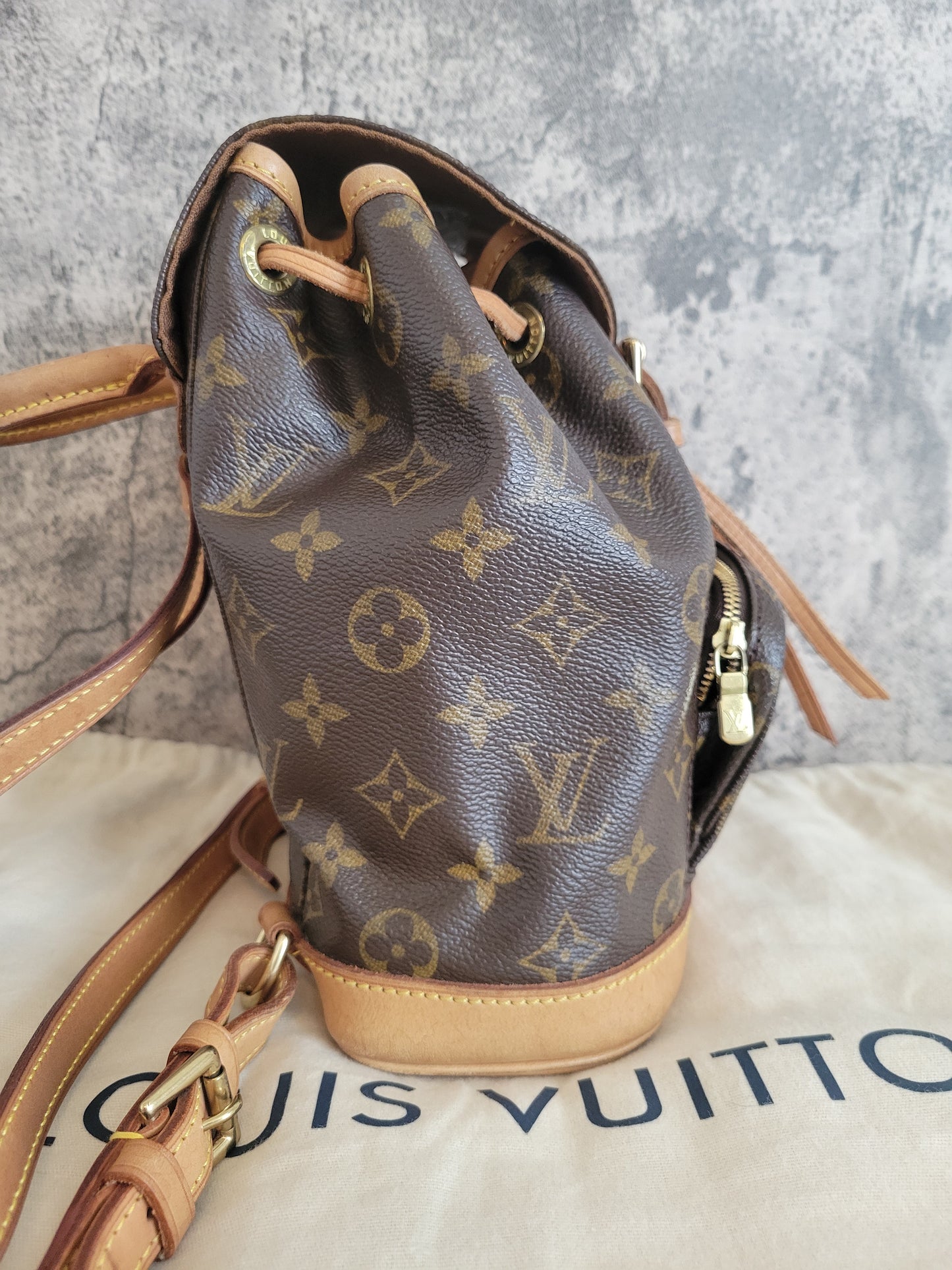 Louis Vuitton Montsouris PM Mini Backpack