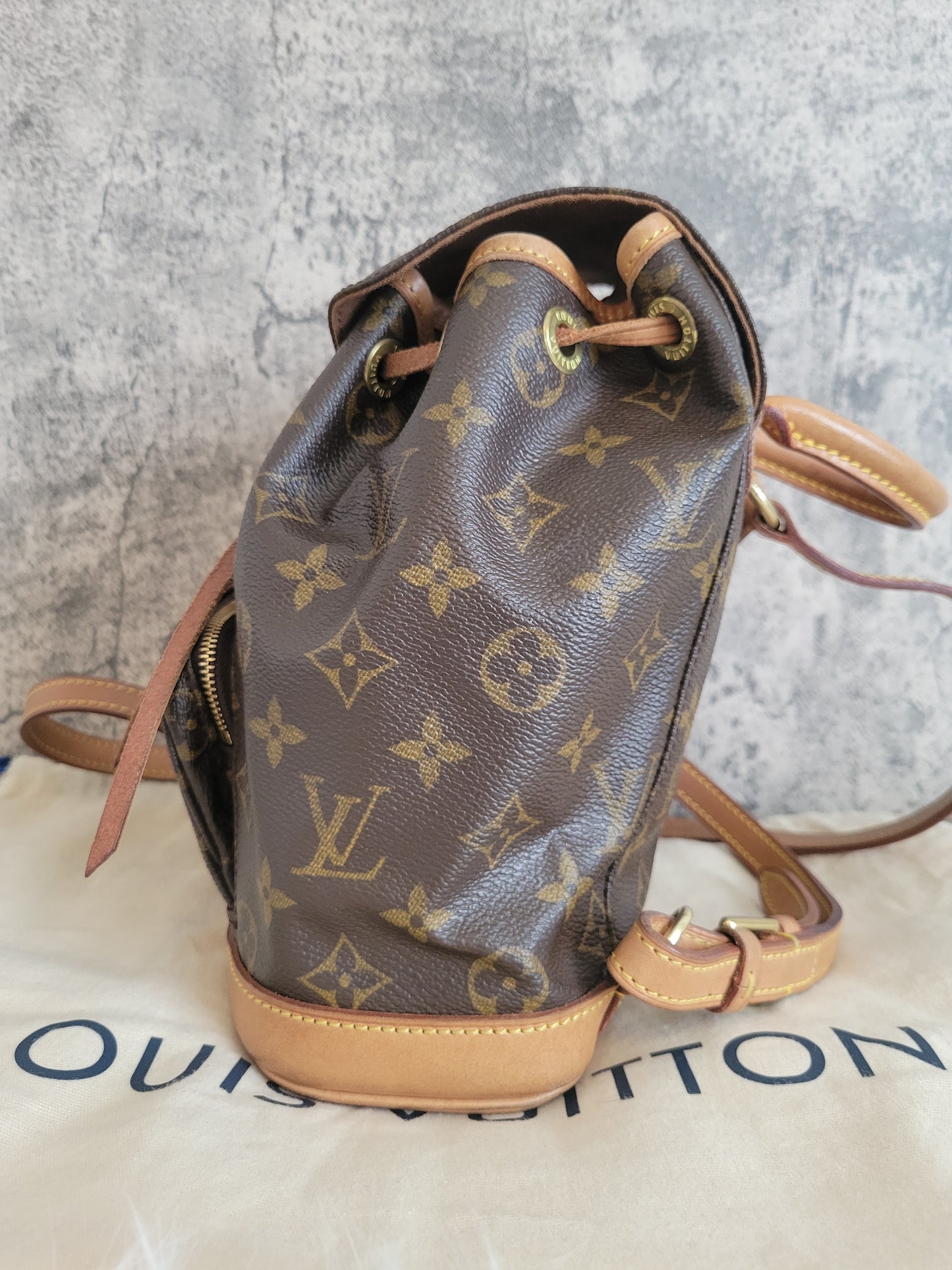 Louis Vuitton Montsouris PM Mini Backpack