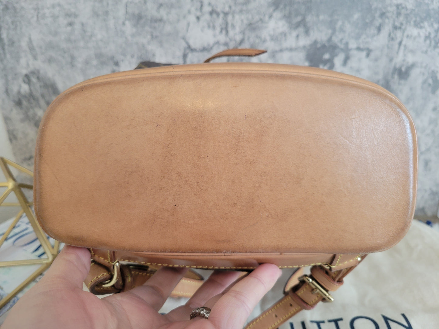 Louis Vuitton Montsouris PM Mini Backpack