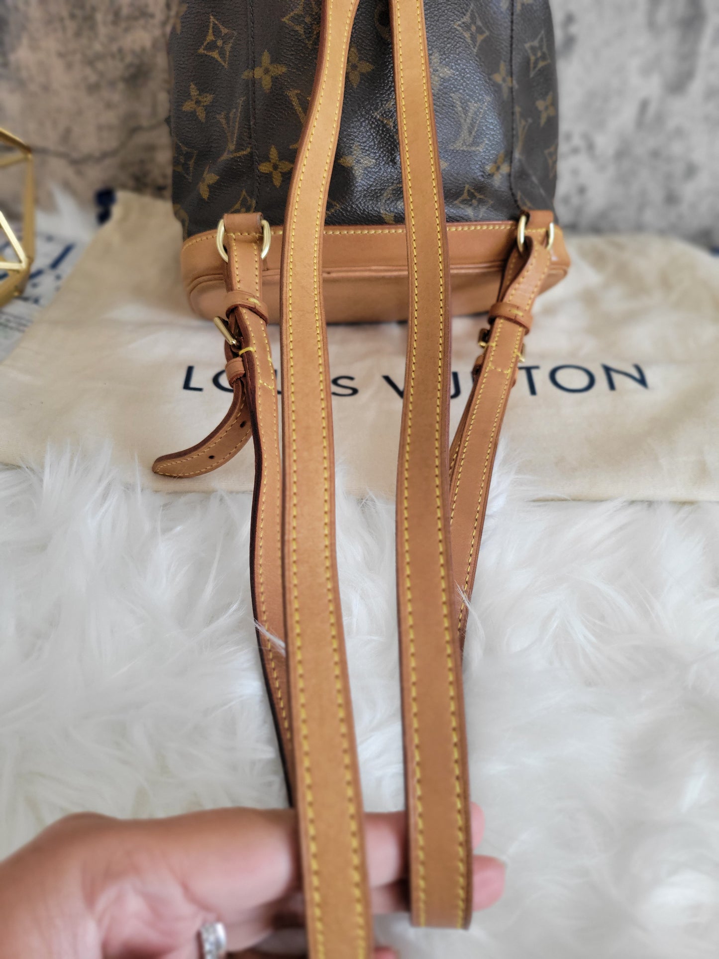 Louis Vuitton Montsouris PM Mini Backpack