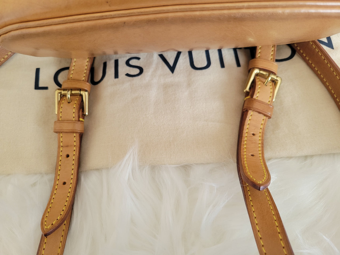 Louis Vuitton Montsouris PM Mini Backpack