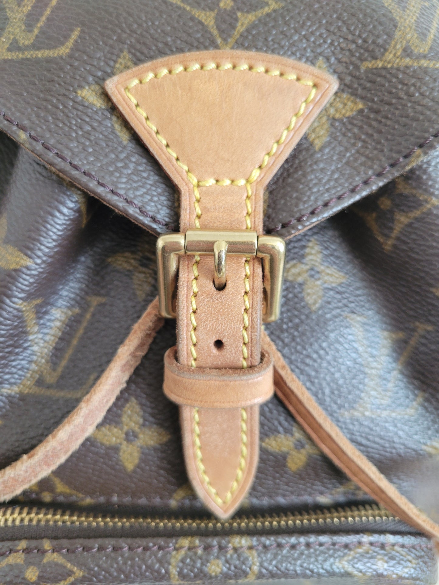 Louis Vuitton Montsouris PM Mini Backpack