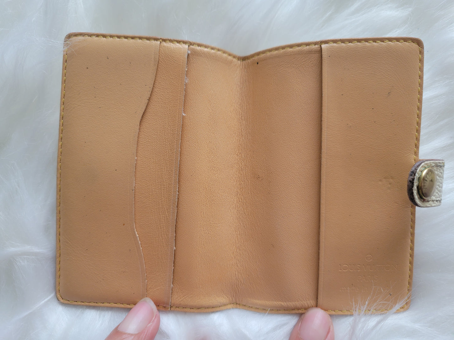 RARE Louis Vuitton Multicolor Mini Agenda