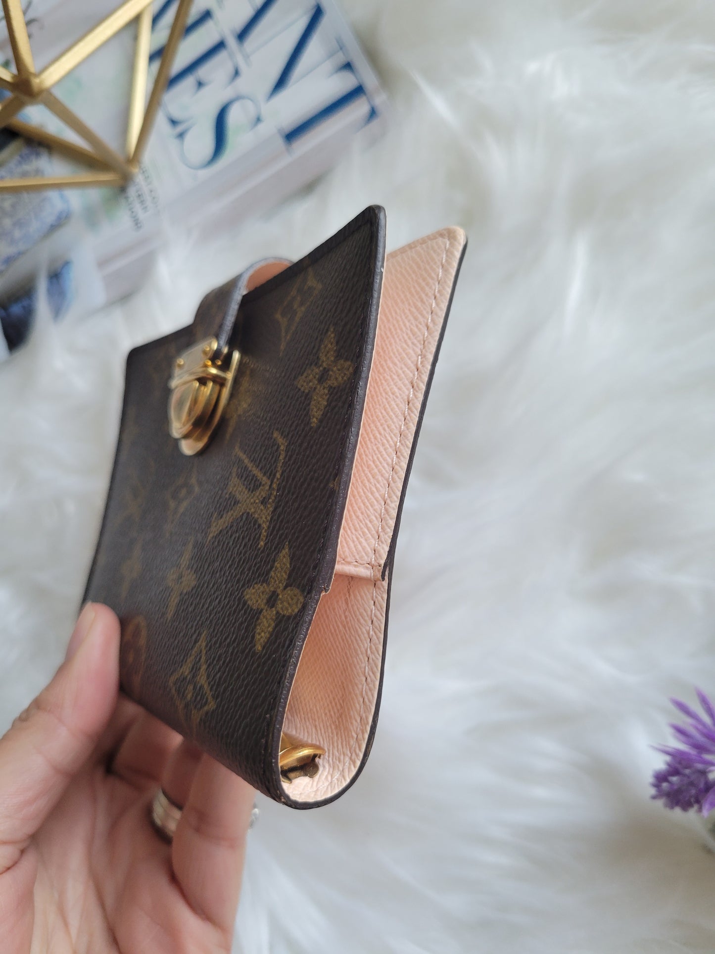 RARE Louis Vuitton Koala Pink Monogram Small Ring Agenda PM Passport Wallet