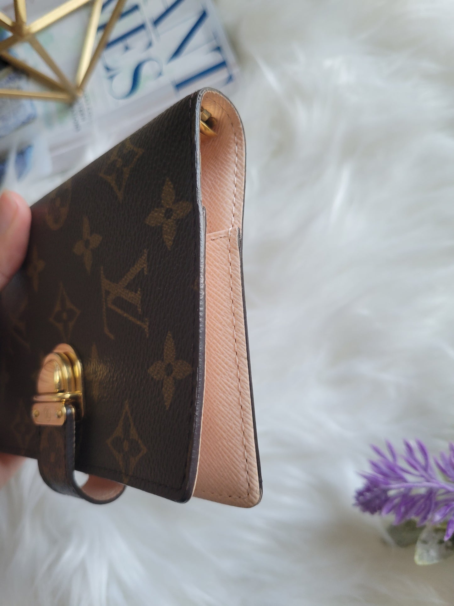 RARE Louis Vuitton Koala Pink Monogram Small Ring Agenda PM Passport Wallet