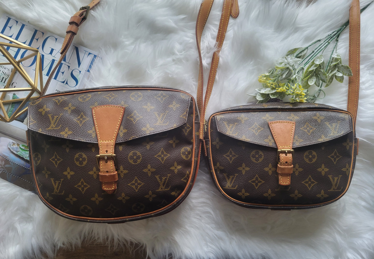Louis Vuitton Jeune Fille PM Crossbody Bag