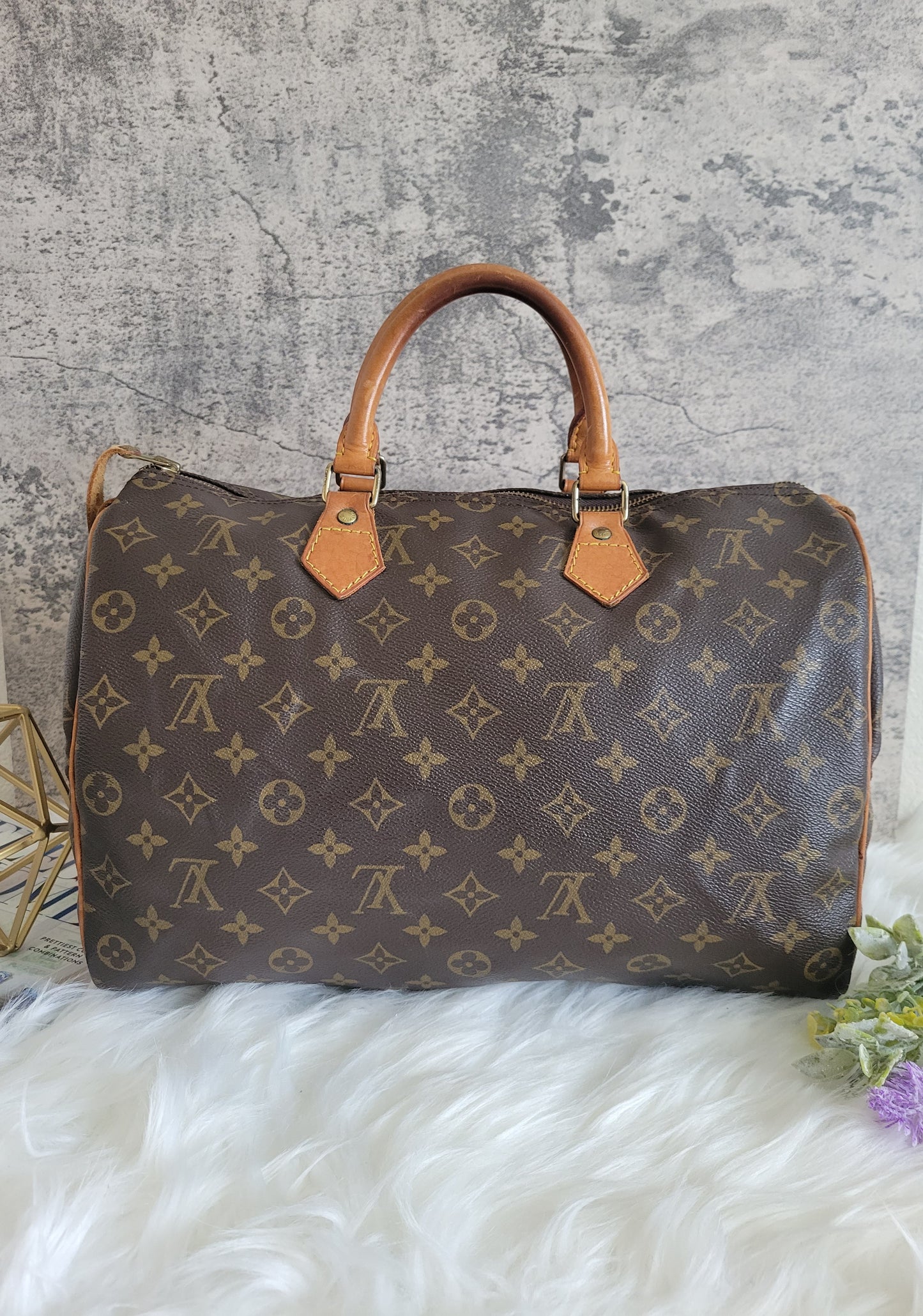 Louis Vuitton Monogram Speedy 35