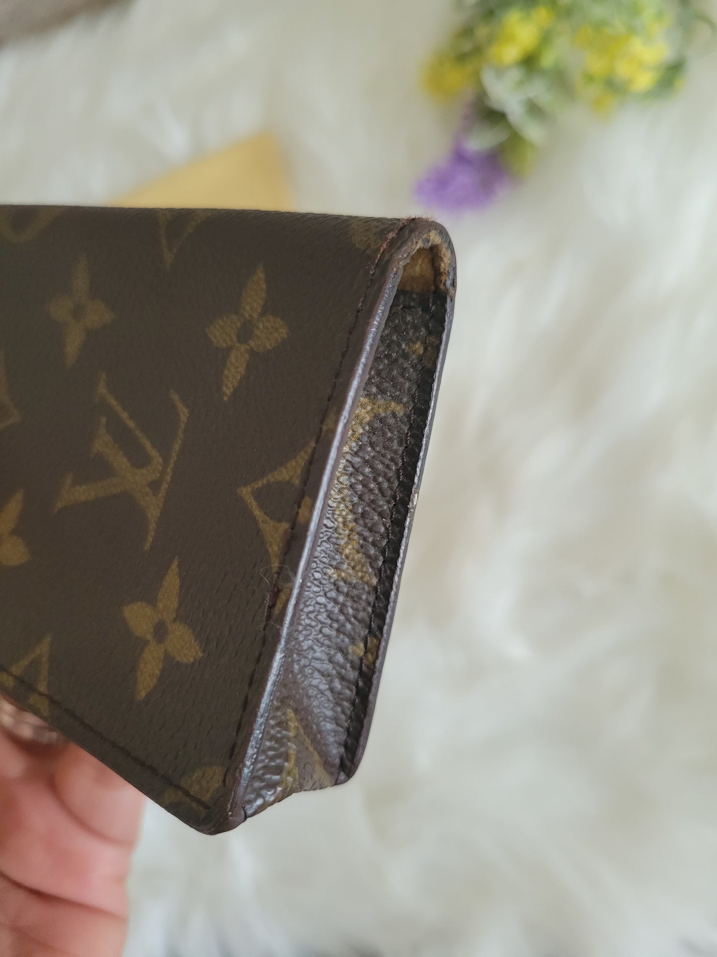 Louis Vuitton Monogram Glasses / Sunglasses Case
