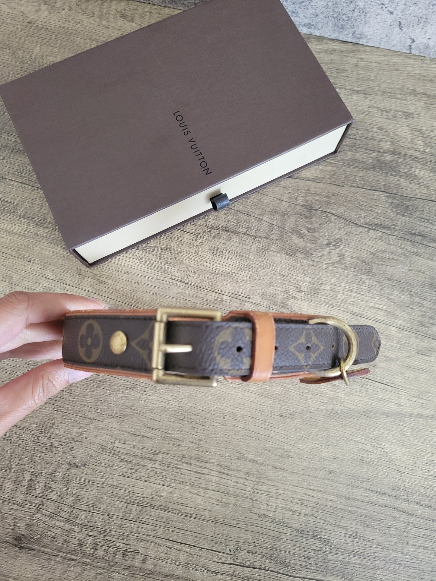 Louis Vuitton Baxter GM Dog Collar
