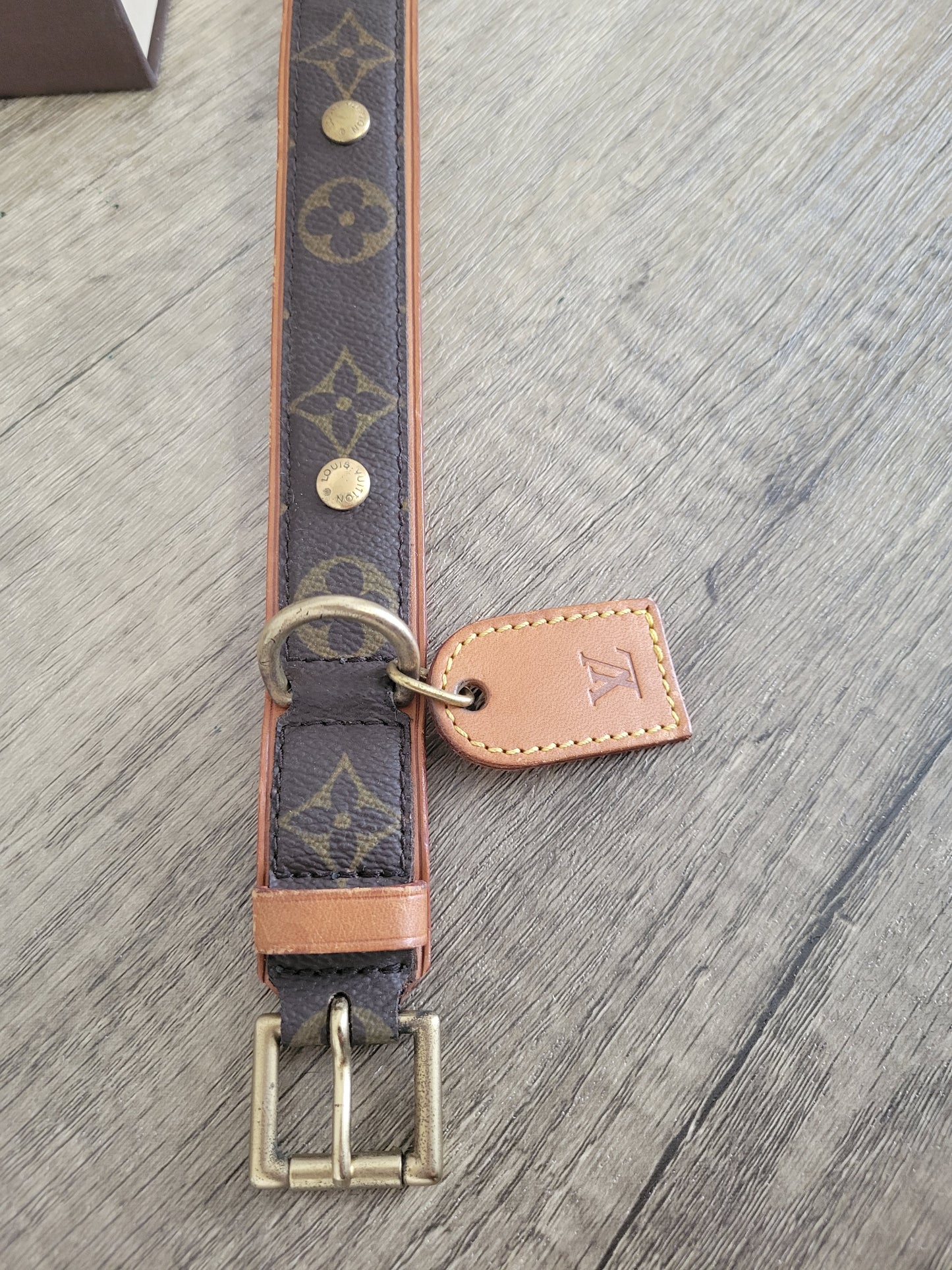 Louis Vuitton Baxter GM Dog Collar