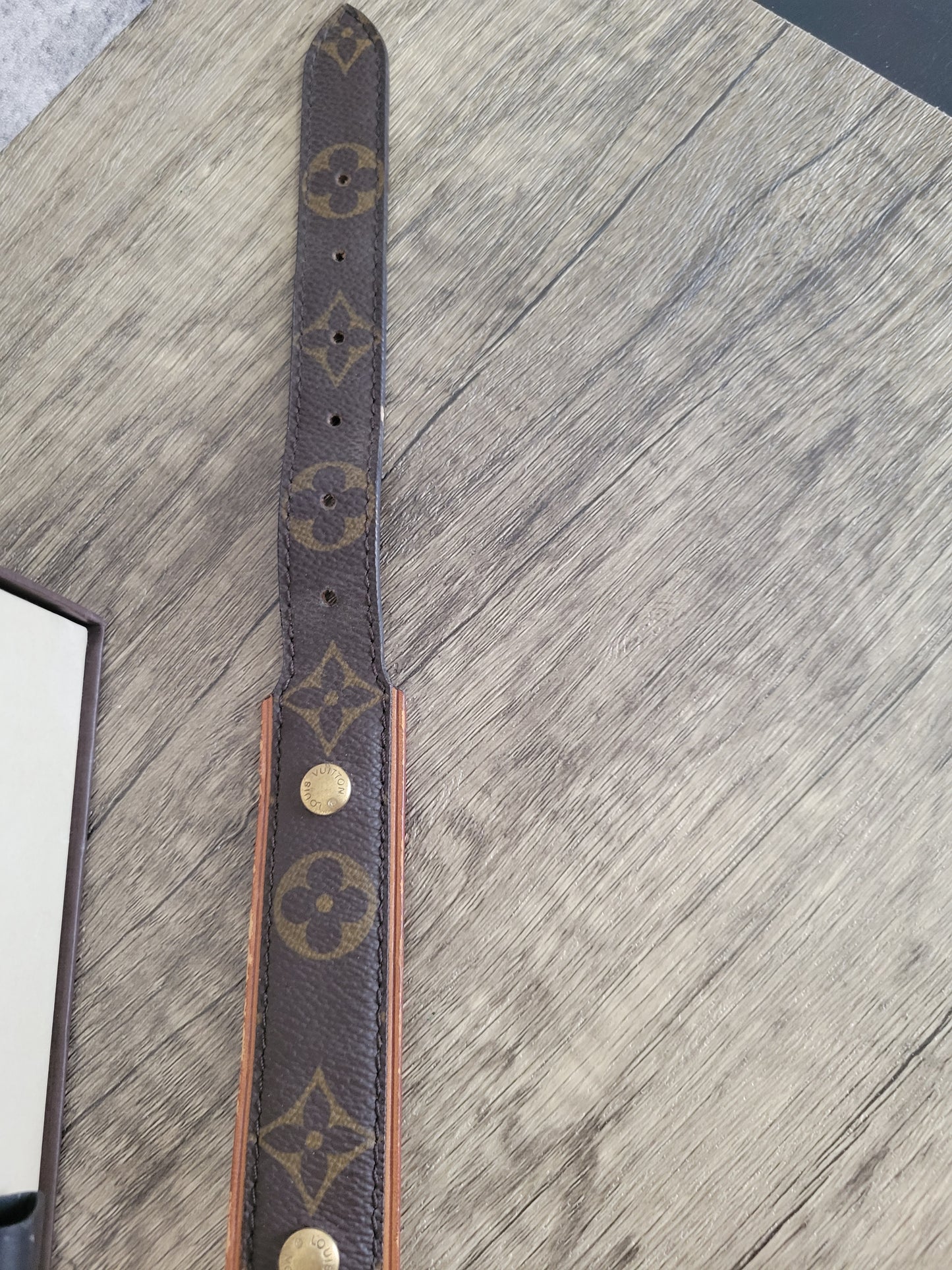 Louis Vuitton Baxter GM Dog Collar