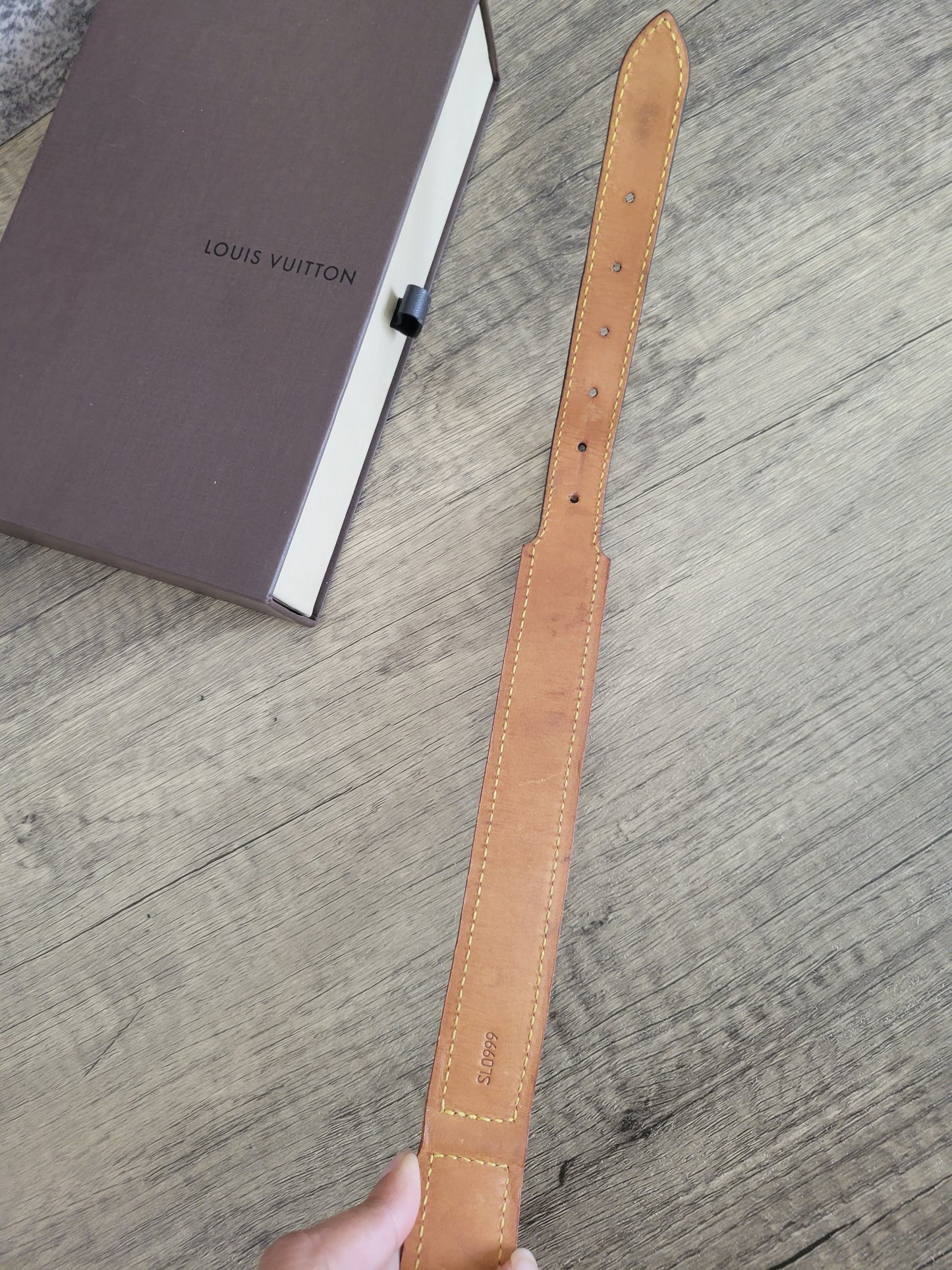 Louis Vuitton Baxter GM Dog Collar