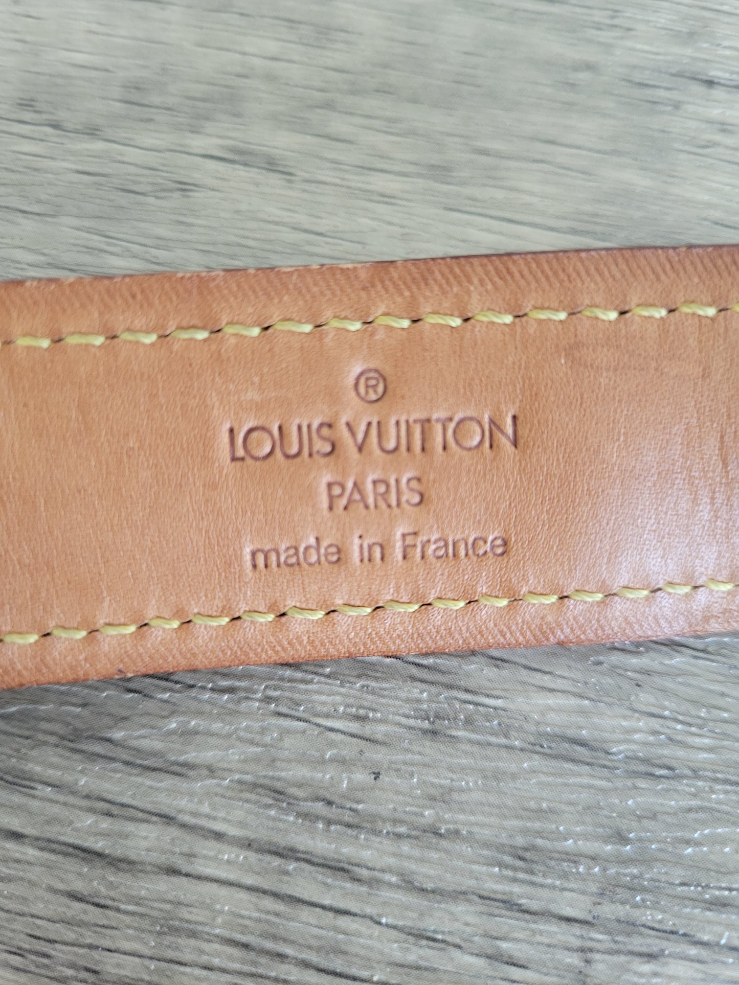 Louis Vuitton Baxter GM Dog Collar