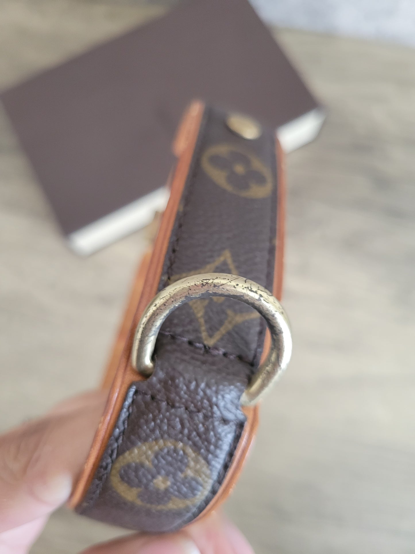 Louis Vuitton Baxter GM Dog Collar