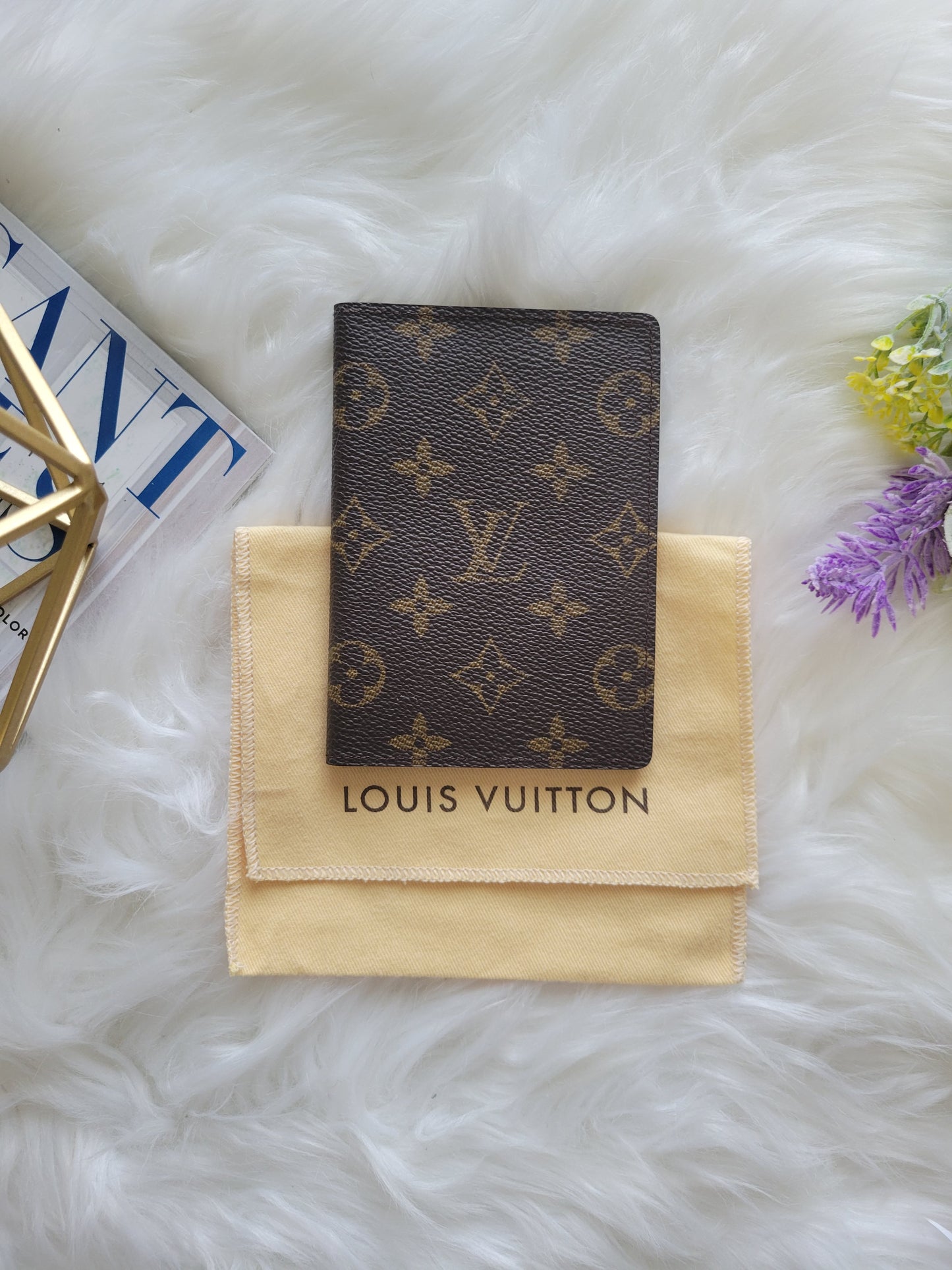 Louis Vuitton Monogram Passport Case Holder