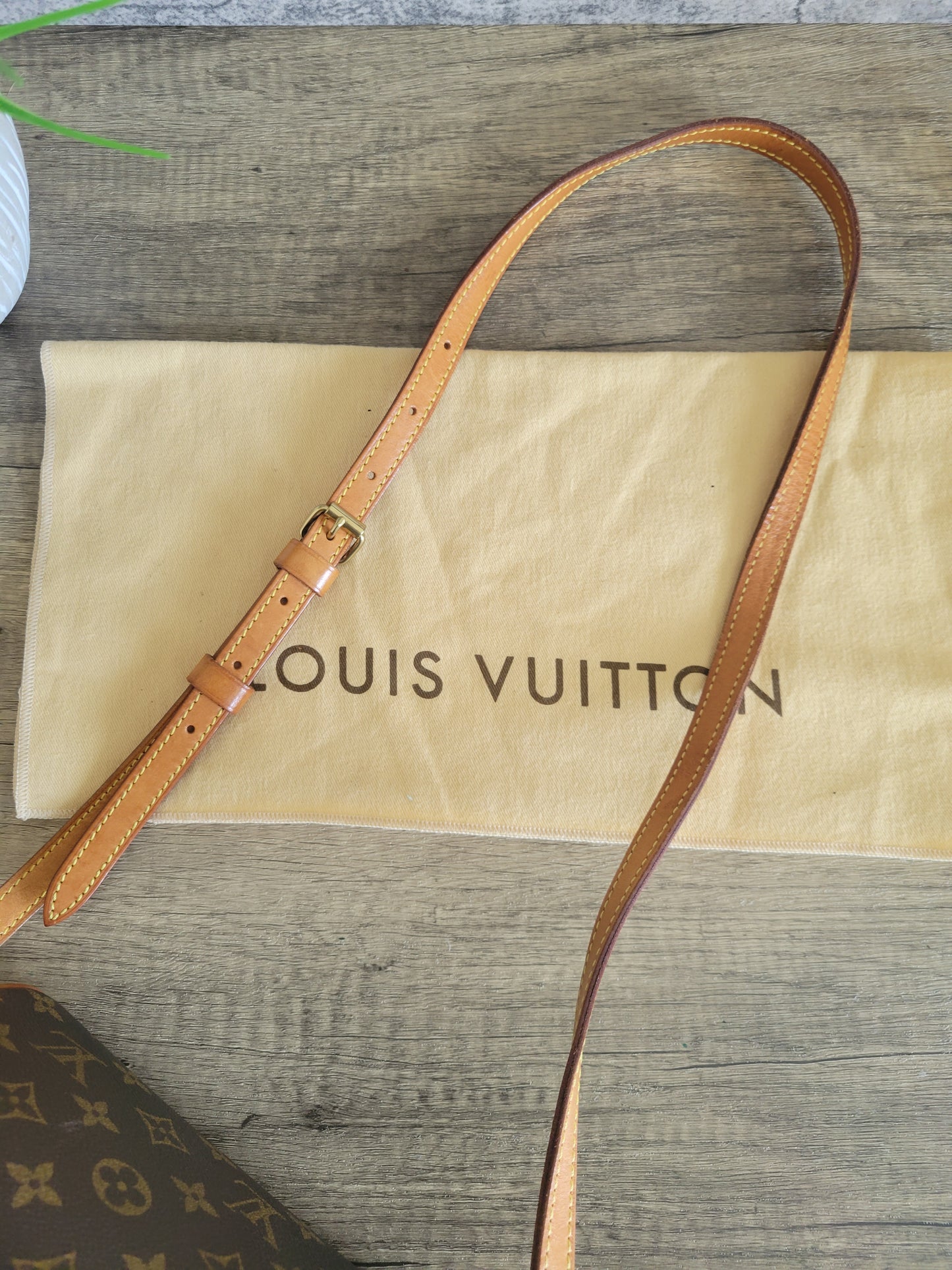 Louis Vuitton Monogram Blois Crossbody Shoulder Bag