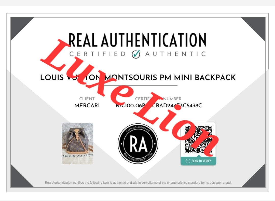 Louis Vuitton Montsouris PM Mini Backpack
