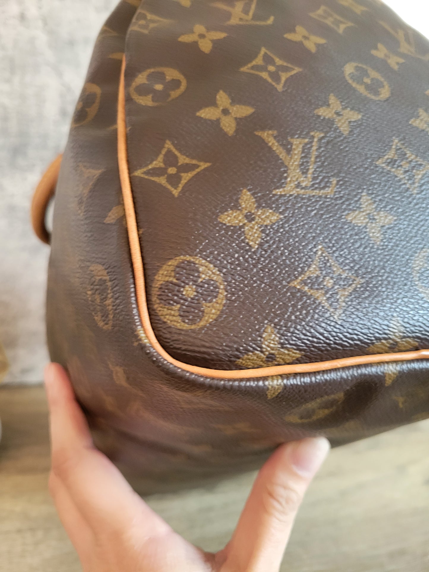 Louis Vuitton Monogram Speedy 35