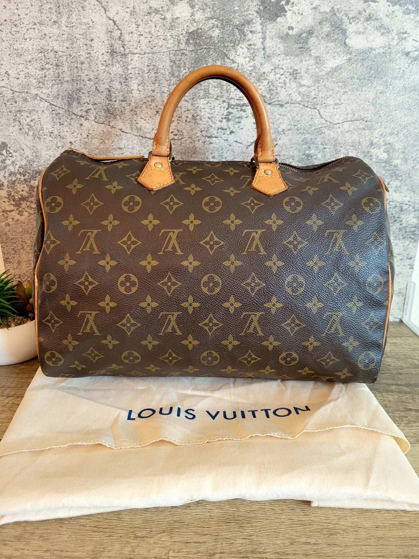 Louis Vuitton Monogram Speedy 35