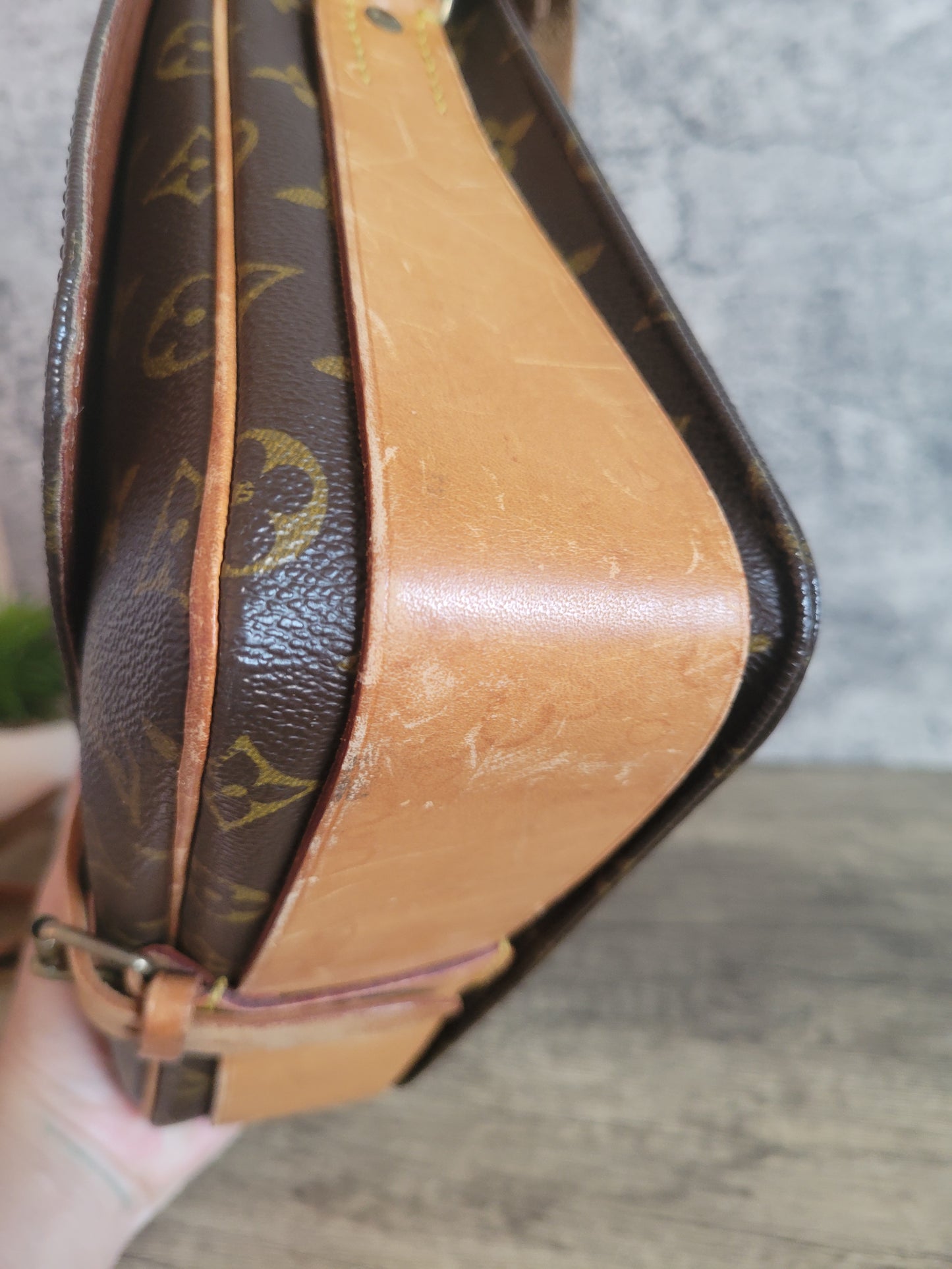 Louis Vuitton Monogram Canvas Cartouchiere GM