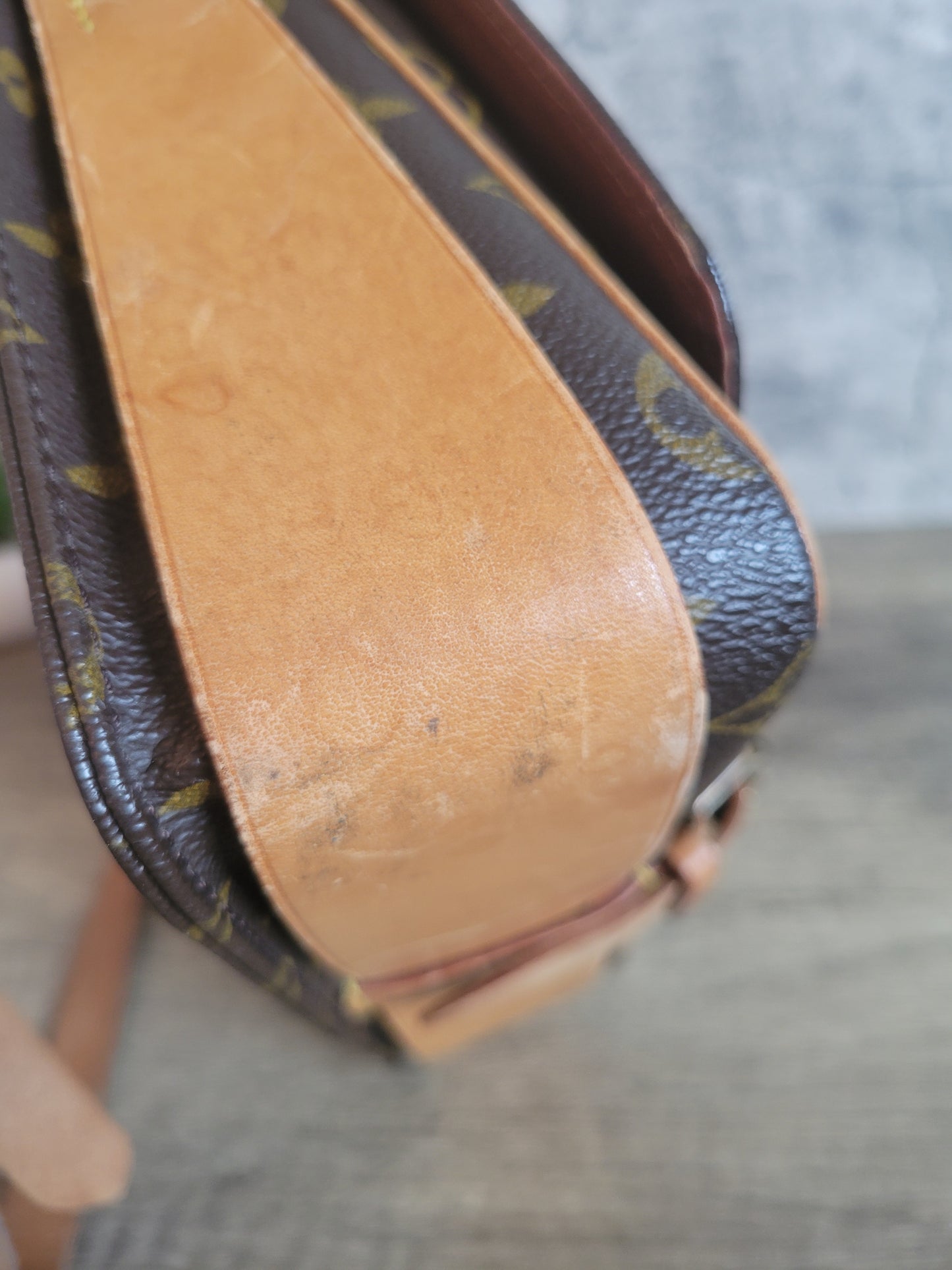 Louis Vuitton Monogram Canvas Cartouchiere GM