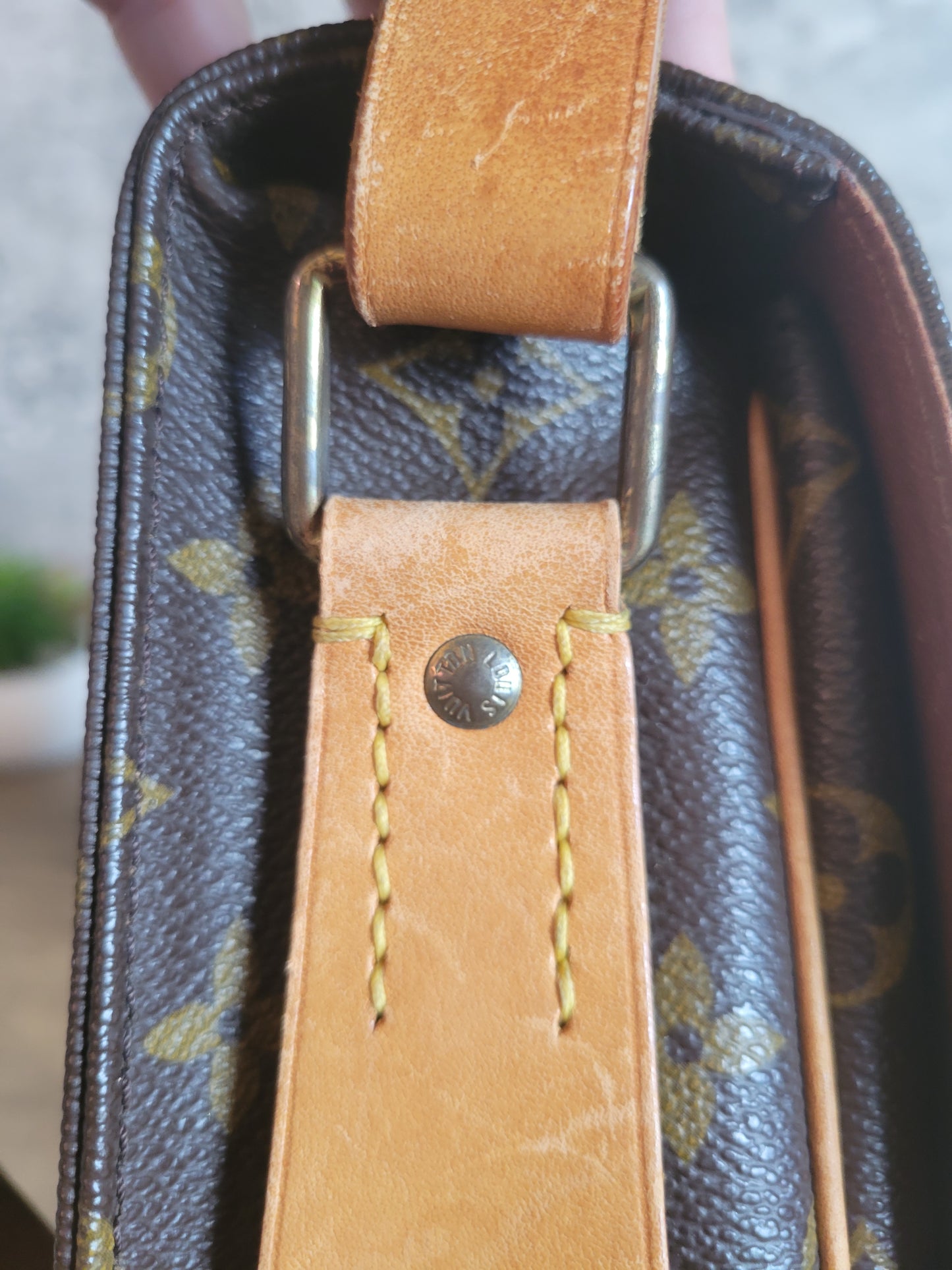 Louis Vuitton Monogram Canvas Cartouchiere GM