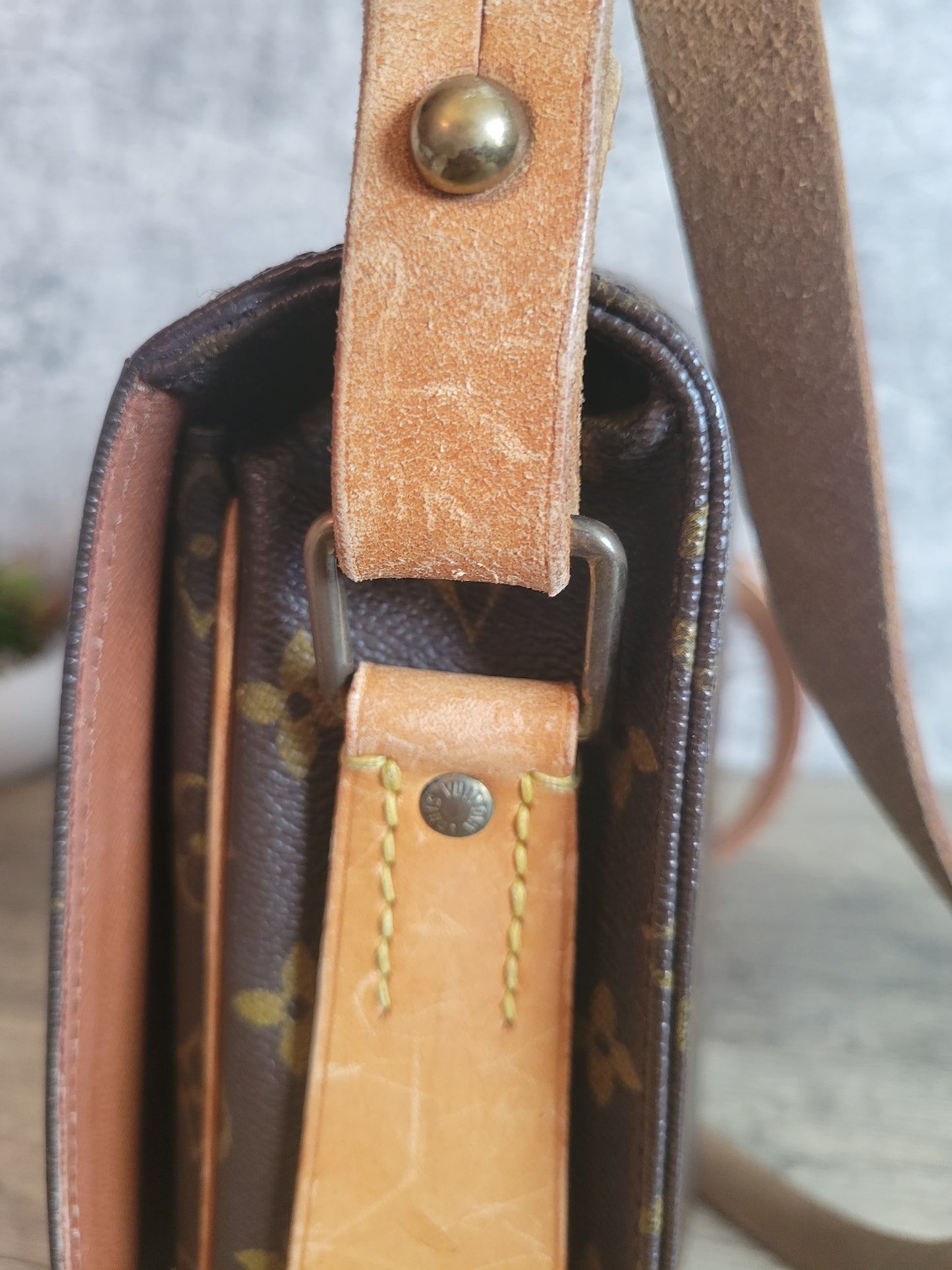 Louis Vuitton Monogram Canvas Cartouchiere GM