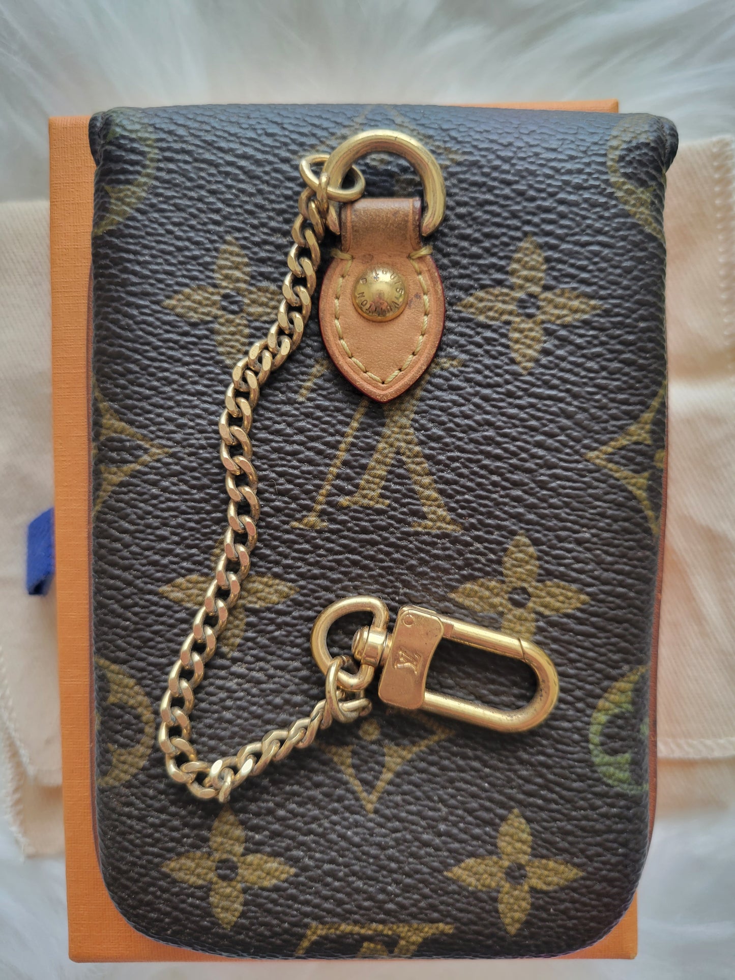Louis Vuitton Monogram Etui Chain Pouch