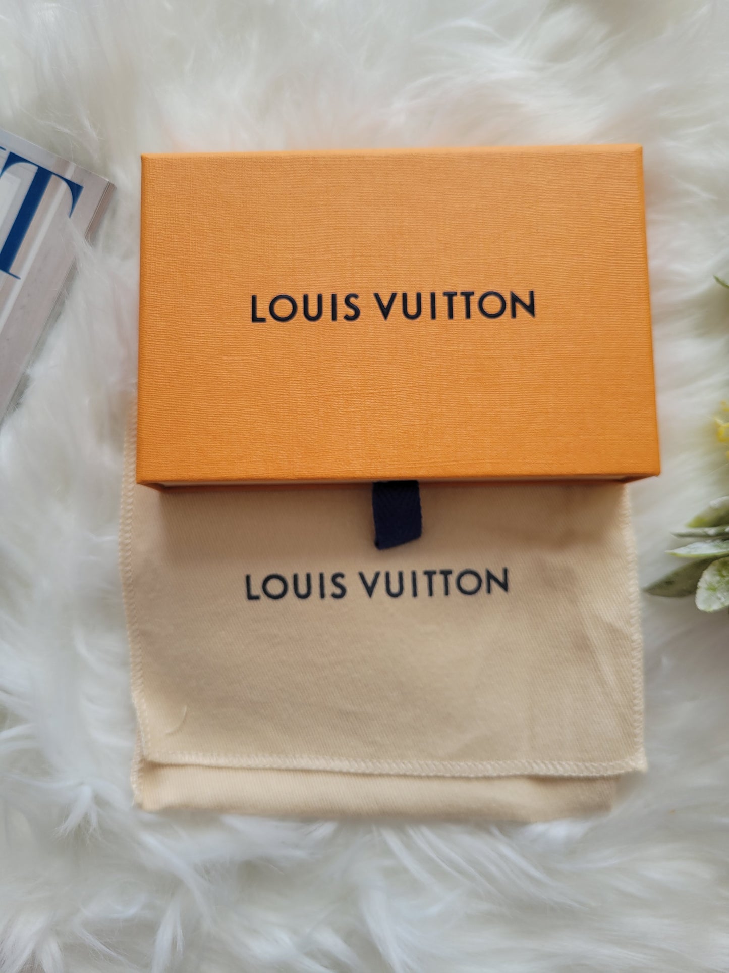 Louis Vuitton Monogram Etui Chain Pouch