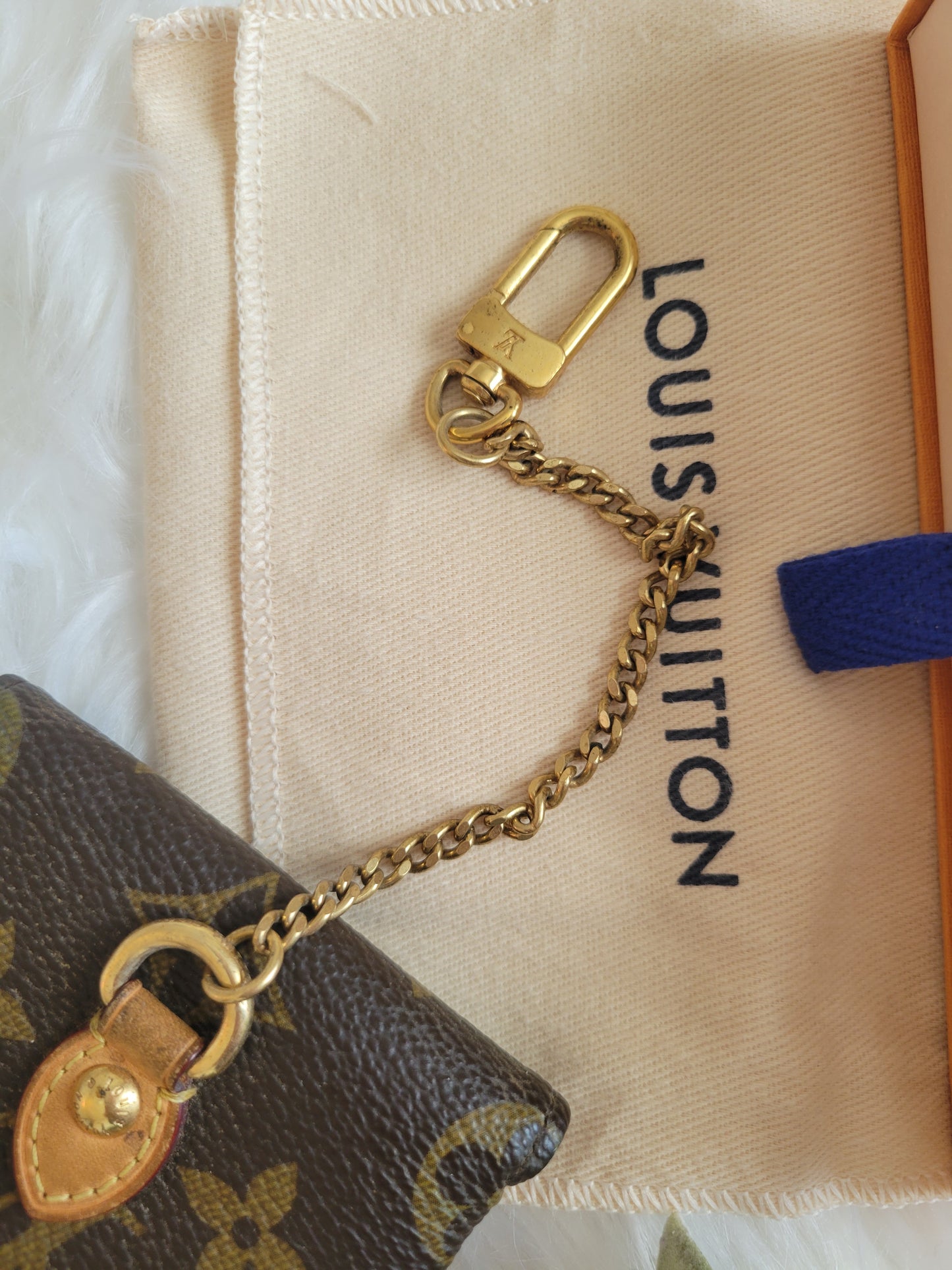 Louis Vuitton Monogram Etui Chain Pouch