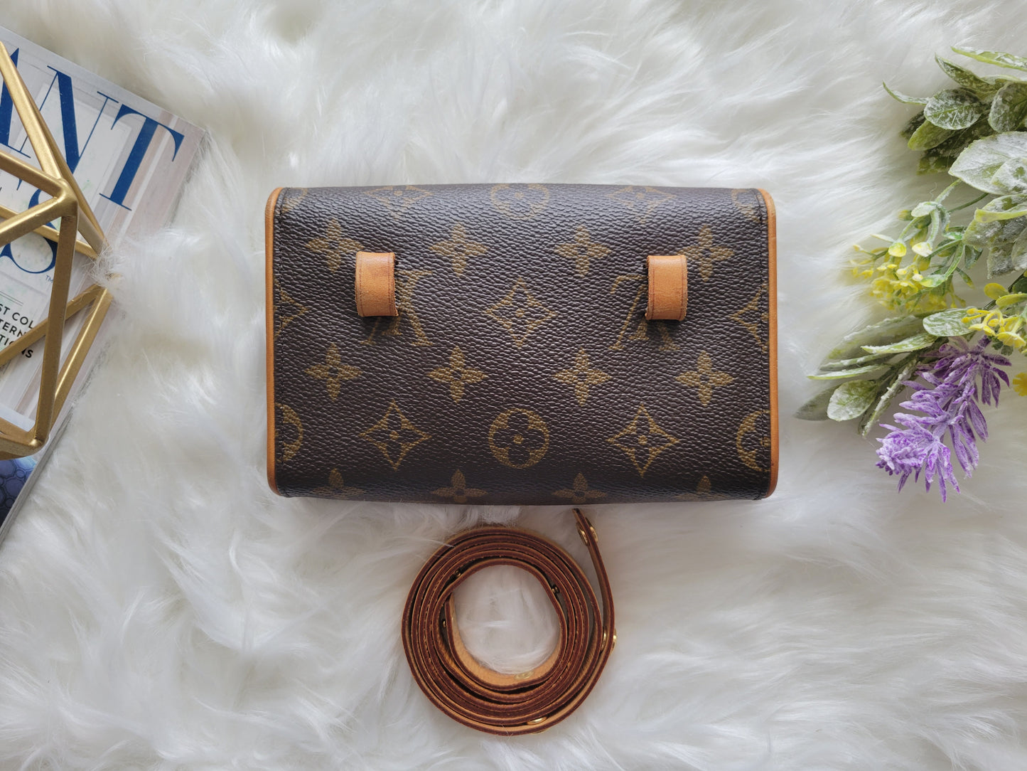 Louis Vuitton Monogram Florentine Waist / Chest Bag