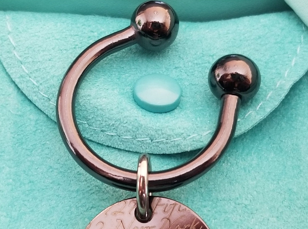 Brand New & Very Rare Tiffany & Co. Titanium Notes Key Ring