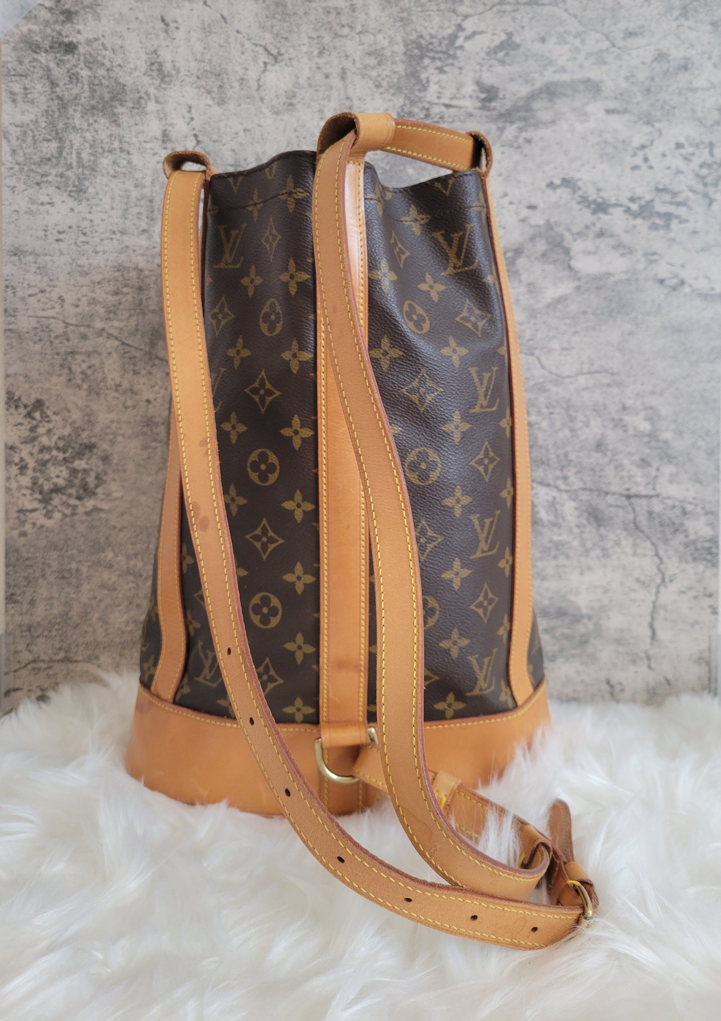 Louis Vuitton Randonnee PM Bag / Backpack