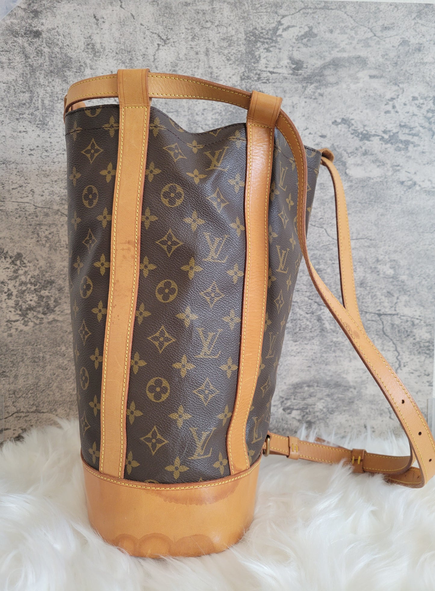 Louis Vuitton Randonnee PM Bag / Backpack