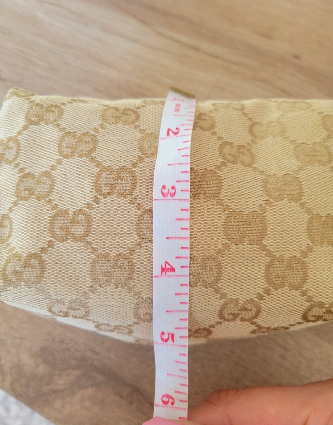 Gucci Travel and Cosmetic Bag